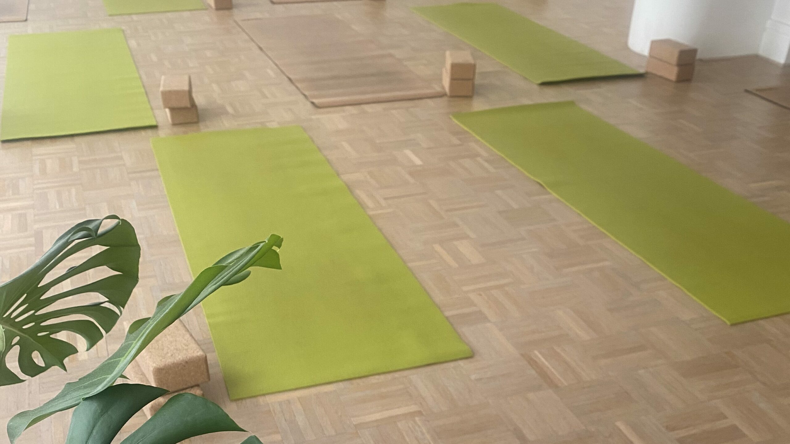 cours en studio dans le centre de Marseille